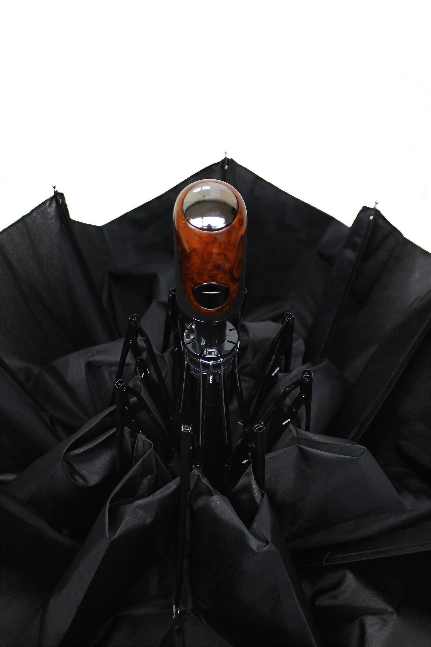 Black Auto Open Compact Umbrella