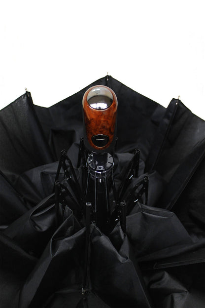 Black Auto Open Compact Umbrella