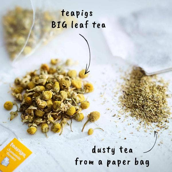 teapigs - Chamomile Flowers Tea