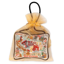 CatStudio Collegiate Mini Pillow
