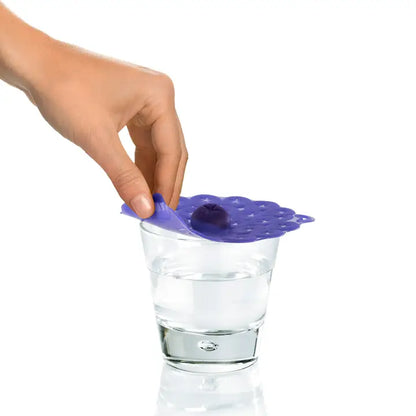 Blueberry Drink Covers -Set of 2