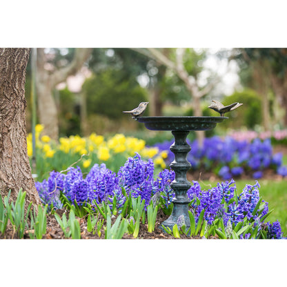 Cast Iron Bird Bath on Pedestal