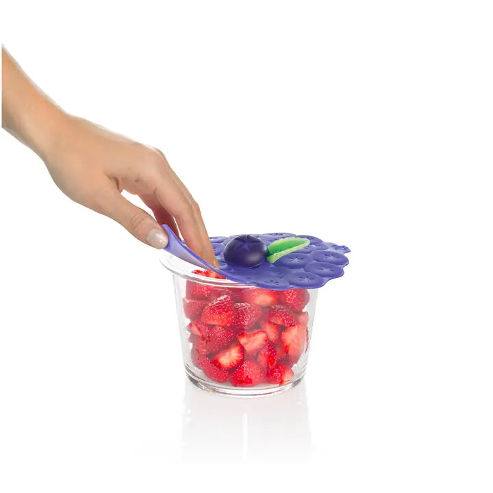 Blueberry Airtight Lid