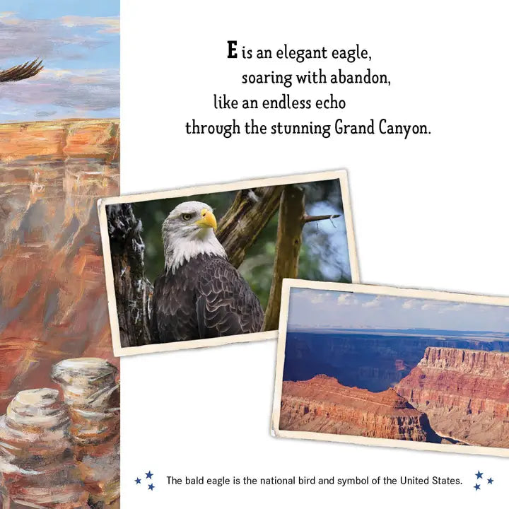 Land of the Free America's ABC Picture Book