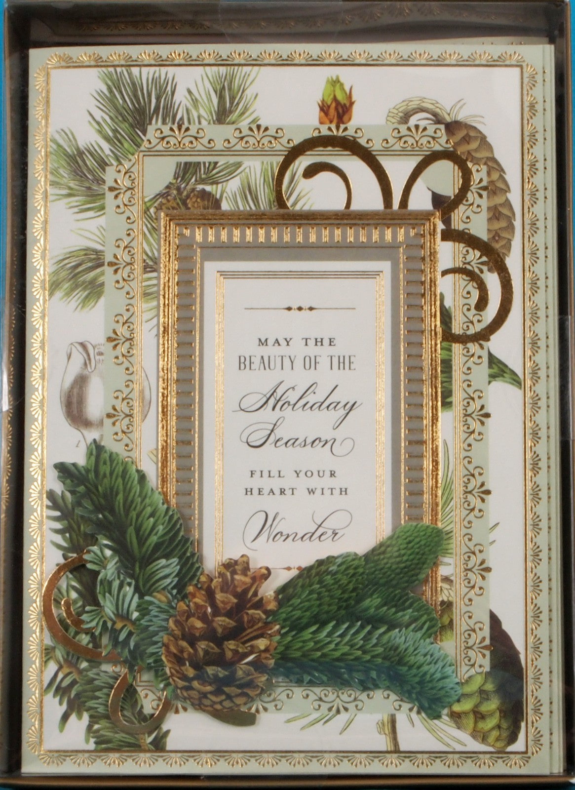 Pinecone Boxed Cards Set - 10 ct