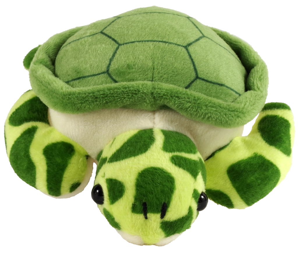 Hug A Sea Turtle Kit