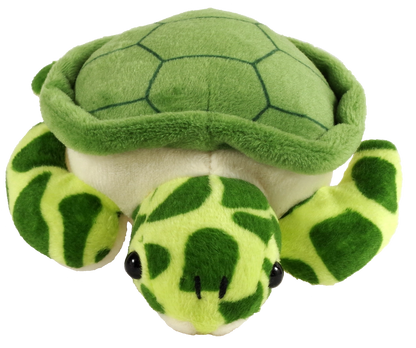 Hug A Sea Turtle Kit