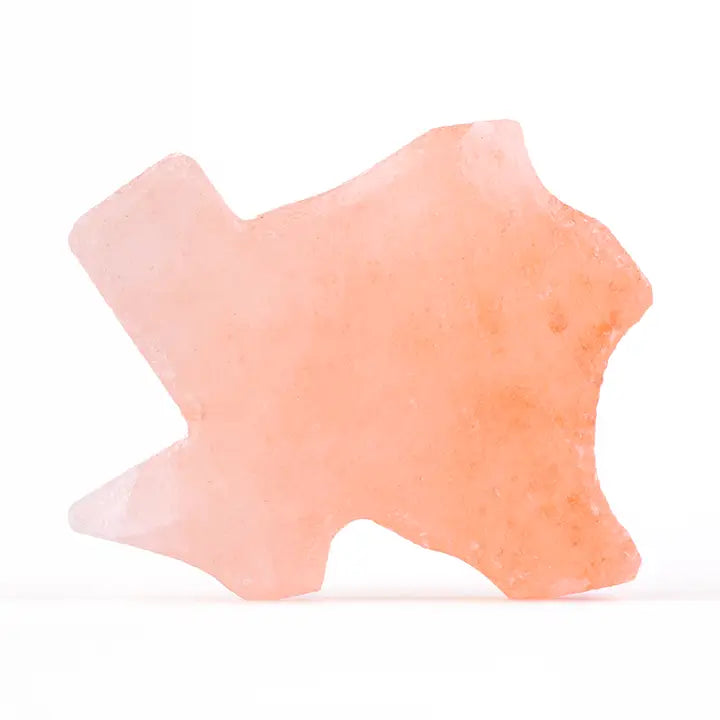 Texas Shaped Himalayan Salt Stone