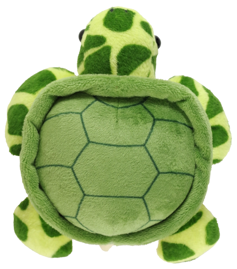 Hug A Sea Turtle Kit