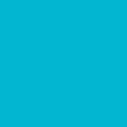 Solid Aqua Tissue
