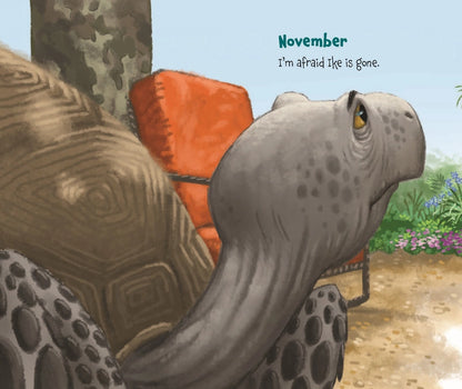 Childrens Book: Memoirs of A Tortoise