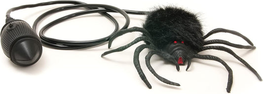 Hairy Scary Jumping Spider
