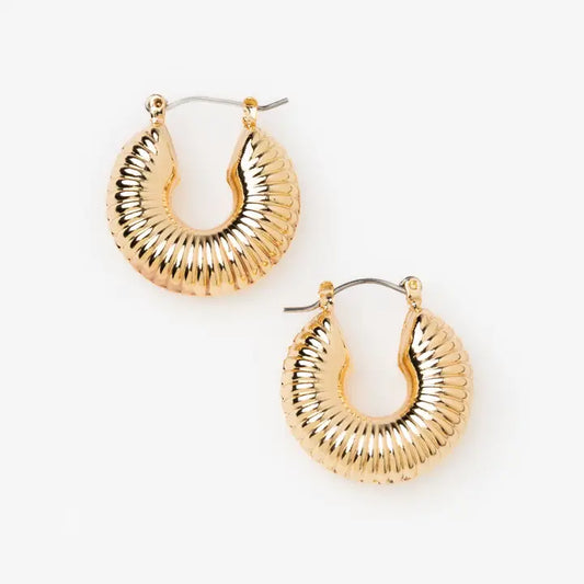 Classic Textured Hoop Earrings