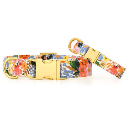 The Foggy Dog Marguerite Spring Dog Collar