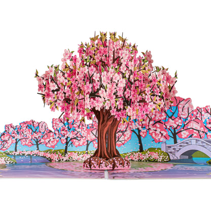 Cherry Blossom Tree Paper Pop Up Card