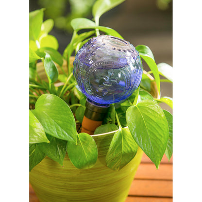 Embossed Glass Plant Watering Globe with Terracotta Spike