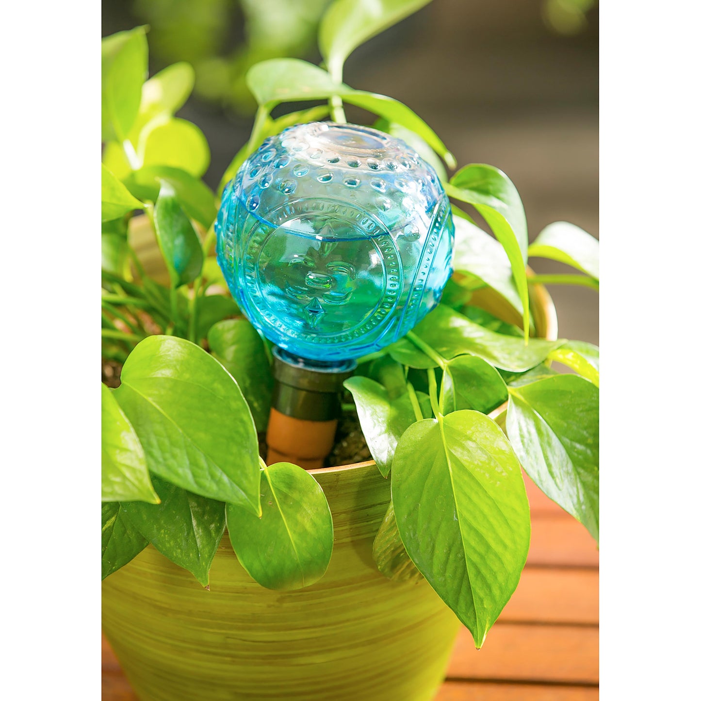 Embossed Glass Plant Watering Globe with Terracotta Spike