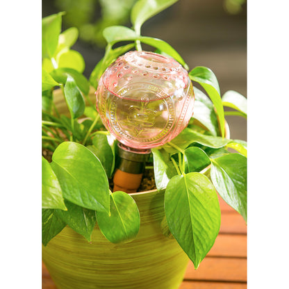 Embossed Glass Plant Watering Globe with Terracotta Spike