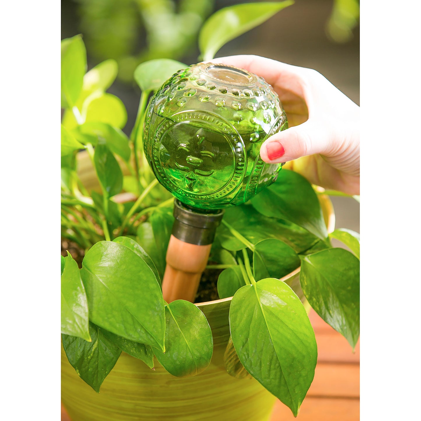 Embossed Glass Plant Watering Globe with Terracotta Spike