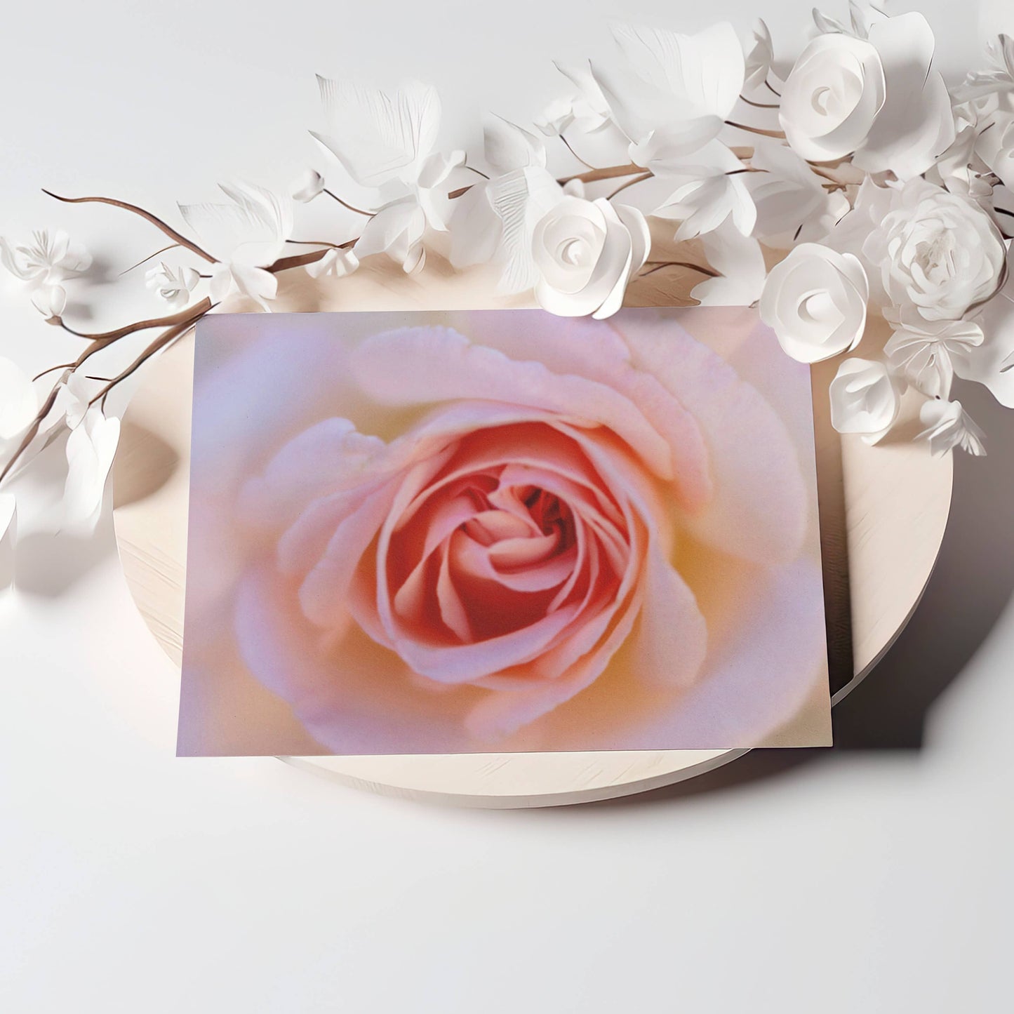 "Blushing Rose" Blank Note Card