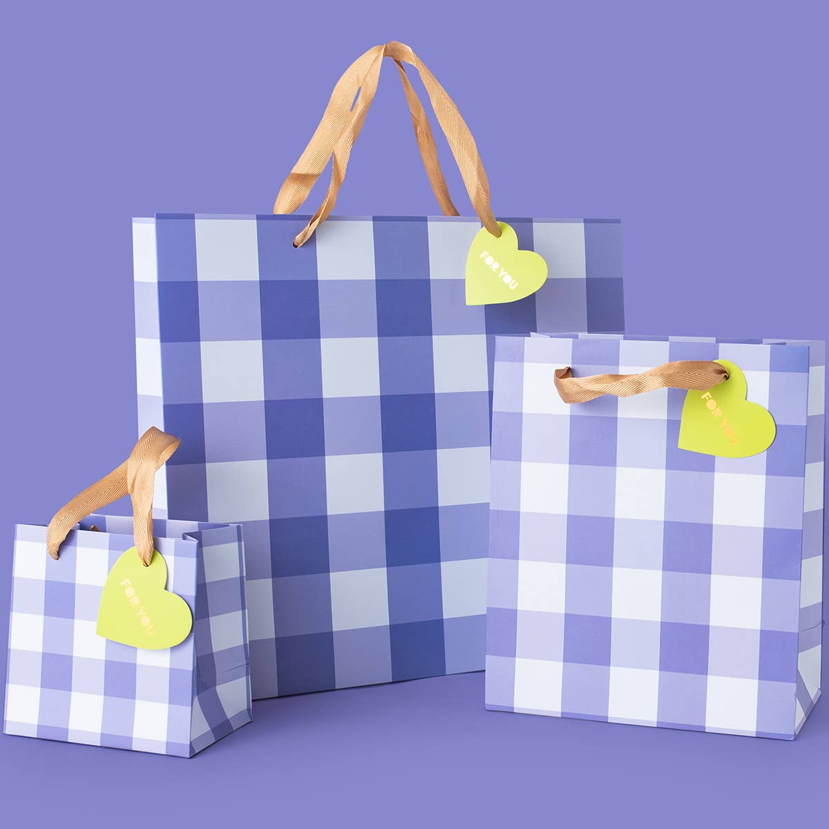 Blue Gingham Gift Bags - Large