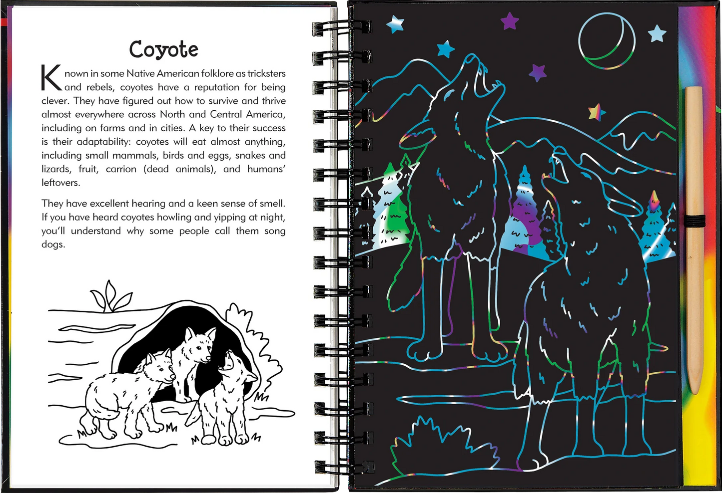 Nocturnal Animals Scratch & Sketch