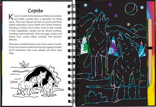 Nocturnal Animals Scratch & Sketch