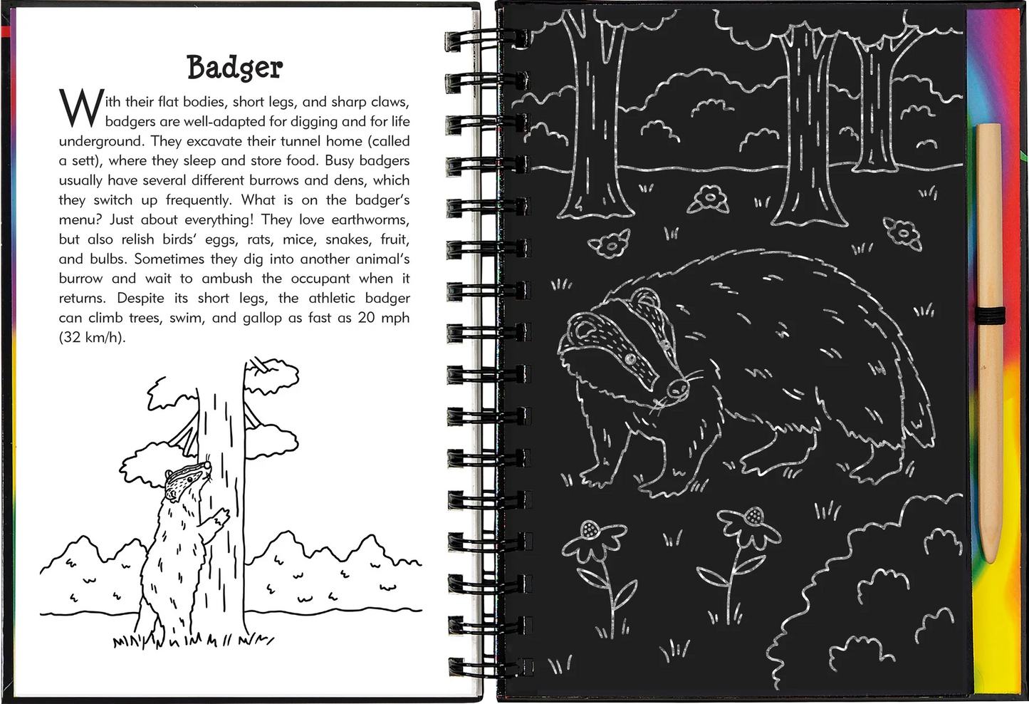 Nocturnal Animals Scratch & Sketch