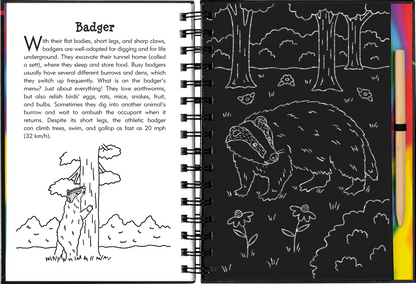 Nocturnal Animals Scratch & Sketch