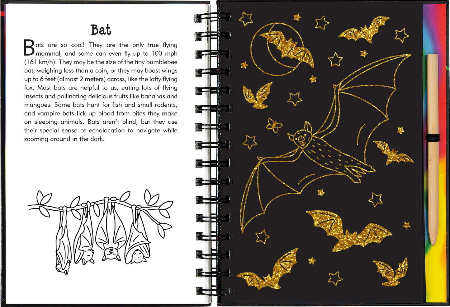 Nocturnal Animals Scratch & Sketch