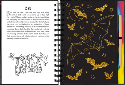 Nocturnal Animals Scratch & Sketch