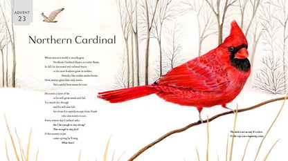 All Creation Waits — Children's Book