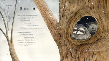 All Creation Waits — Children's Book
