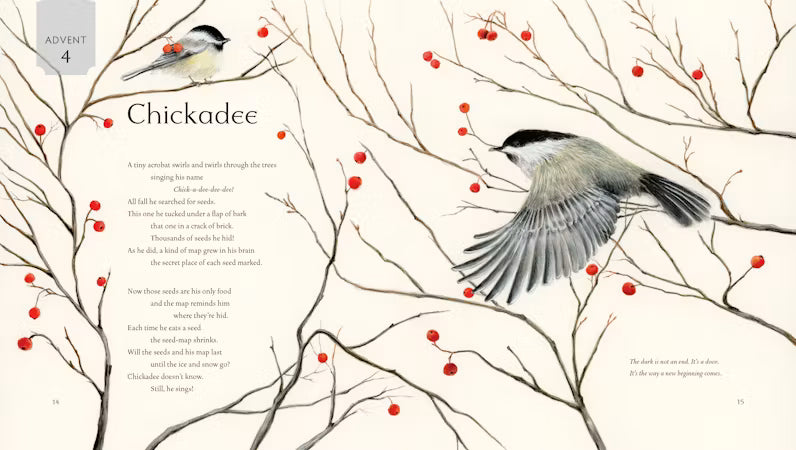 All Creation Waits — Children's Book