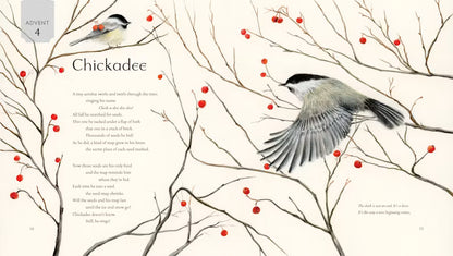 All Creation Waits — Children's Book