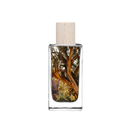 Frio Woods - Eau De Parfum