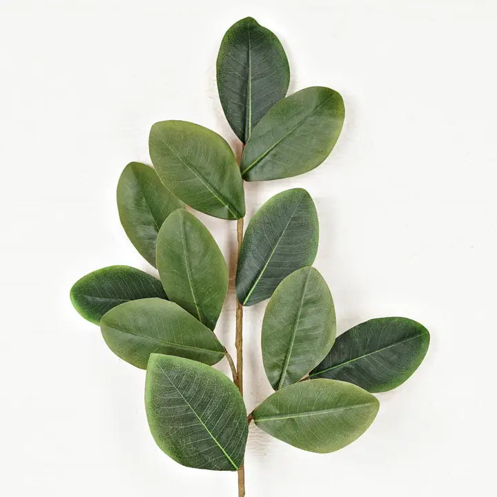 31in Sweetbay Magnolia Leaves Spray