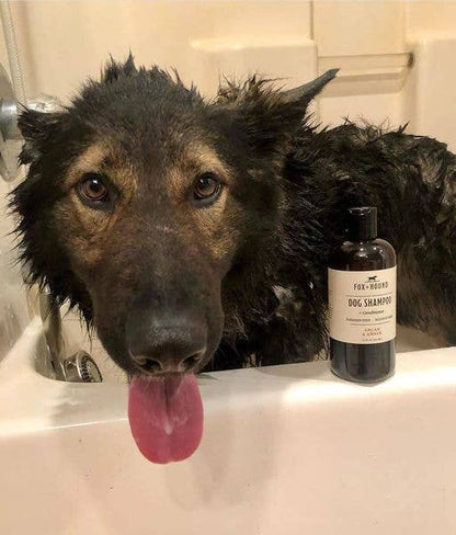 Argan & Amber Dog Shampoo + Conditioner