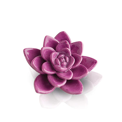 Nora Fleming Get Growing Succulent Mini