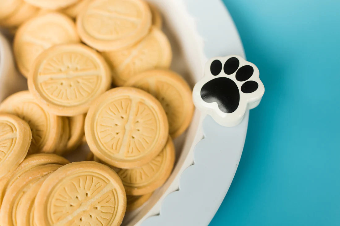 Nora Fleming Mini Paw Print, Paw-ty Time!