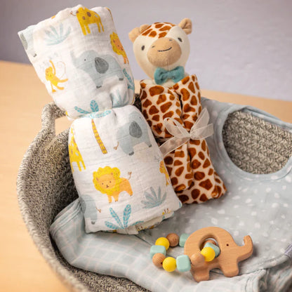 Zoo Baby Box Set