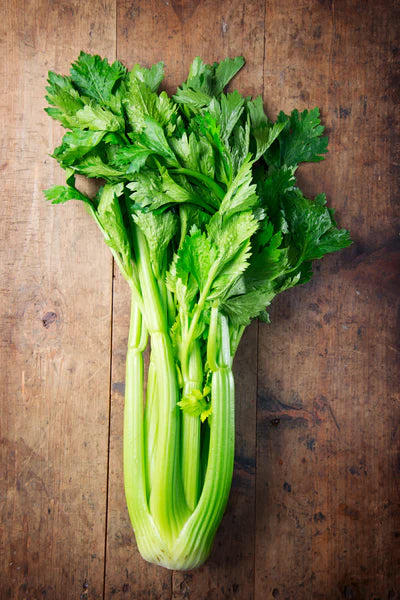 Celery- Tall Utah Seed Packets