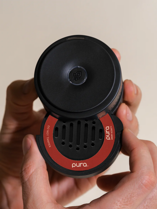 Pura Car Diffuser Disks - Cinnamon Woods