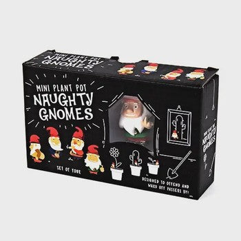 Mini Naughty Gnomes Plant Figures