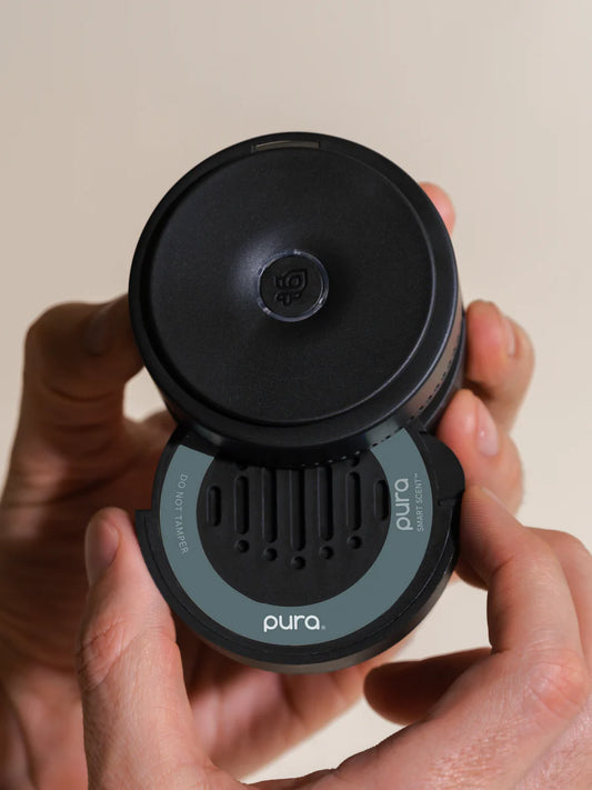 Pura Car Diffuser Disks - Car Wash