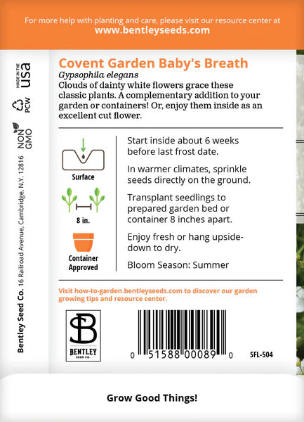 Baby's Breath Covent Garden Seed Packets