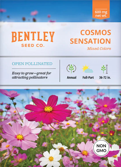 Cosmos Sensation Seed Packets