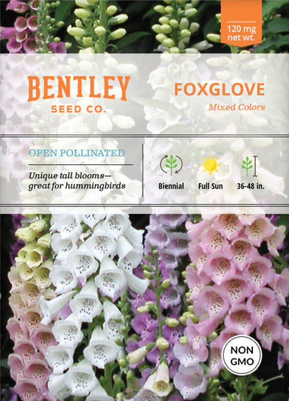 Foxglove Seed Packets