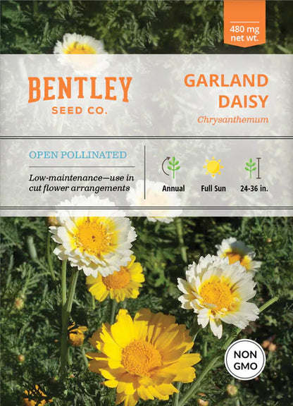 Garland Daisy Chrysanthemum Seed Packets