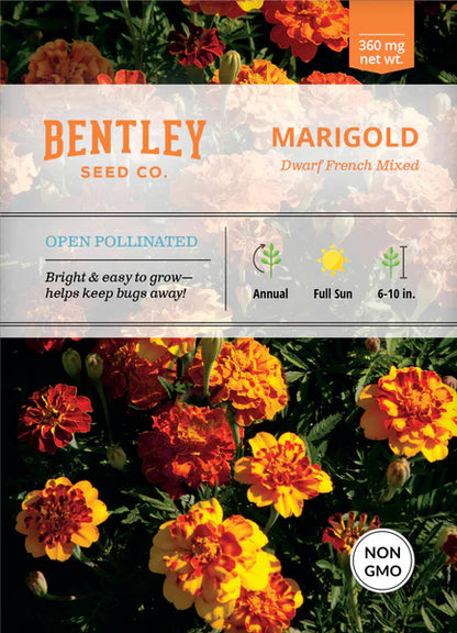 Marigold Dwarf French Mix Seed Packets